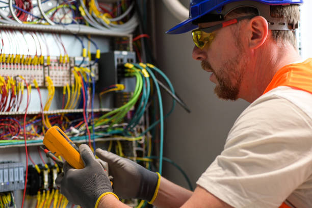 Best Electric Panel Repair  in Welsh, LA