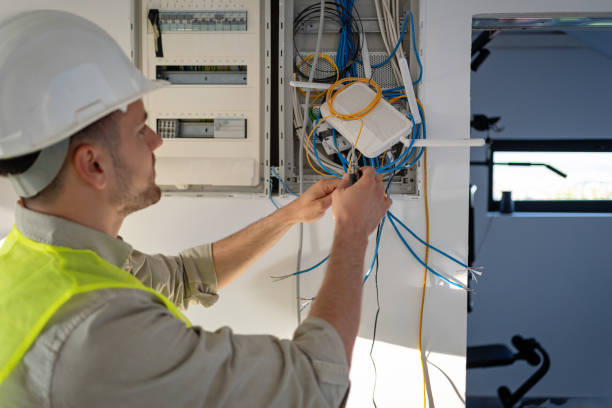 Professional Electrician in LA